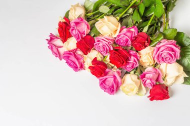 Beyaz arka planda izole edilmiş çeşitli çok renkli güller. Düğünler, doğum günleri, 8 Mart, anneler günü ya da sevgililer günü için festival konsepti. Tebrik kartı, düz yatak, model, şablon