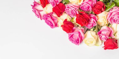 Beyaz arka planda izole edilmiş çeşitli çok renkli güller. Düğünler, doğum günleri, 8 Mart, anneler günü ya da sevgililer günü için festival konsepti. Tebrik kartı, düz yatak, model, şablon, pankart