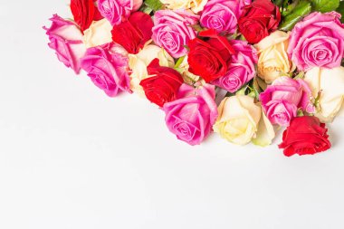 Beyaz arka planda izole edilmiş çeşitli çok renkli güller. Düğünler, doğum günleri, 8 Mart, anneler günü ya da sevgililer günü için festival konsepti. Tebrik kartı, düz yatak, model, şablon