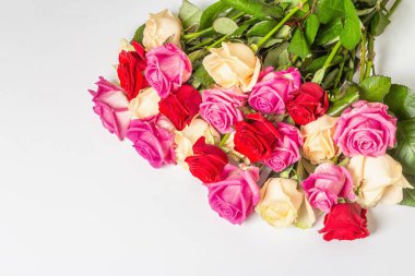 Beyaz arka planda izole edilmiş çeşitli çok renkli güller. Düğünler, doğum günleri, 8 Mart, anneler günü ya da sevgililer günü için festival konsepti. Tebrik kartı, düz yatak, model, şablon