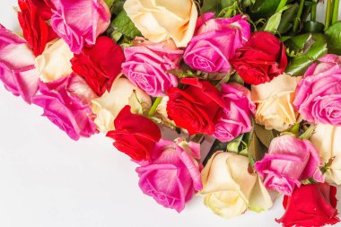 Beyaz arka planda izole edilmiş çeşitli çok renkli güller. Düğünler, doğum günleri, 8 Mart, anneler günü ya da sevgililer günü için festival konsepti. Tebrik kartı, düz yatak, model, şablon