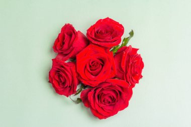 Bir buket taze kırmızı gül. Düğünler, doğum günleri, 8 Mart, anneler günü ya da sevgililer günü için festival konsepti. Tebrik kartı, açık yeşil arkaplan