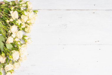 Eski tahta tahtalarda taze bej güller. Düğünler, doğum günleri, 8 Mart, anneler günü ya da sevgililer günü için festival konsepti. Tebrik kartı