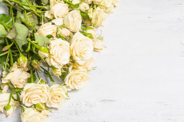 Eski tahta tahtalarda taze bej güller. Düğünler, doğum günleri, 8 Mart, anneler günü ya da sevgililer günü için festival konsepti. Tebrik kartı