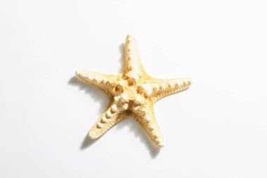 Tek bir denizyıldızı beyaz arka planda izole edilmiş. Modern sert bir ışık, koyu gölge, düz uzanma, model, şablon, üst görünüm