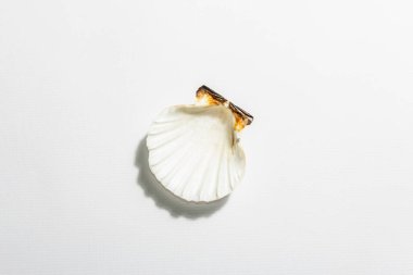 Beyaz arka planda tek bir deniz kabuğu var. Tatil konsepti, deniz kartı. Modaya uygun sert bir ışık, karanlık gölge, düz uzanma, model, şablon