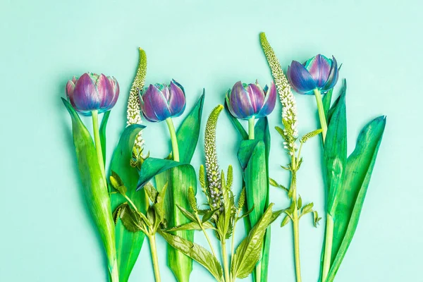 Tulipanes Inusuales Tonos Azules Morados Flores Frescas Concepto Regalo Navideño — Foto de Stock