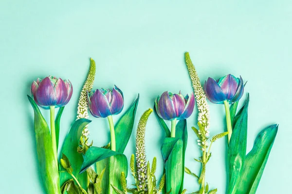 Tulipanes Inusuales Tonos Azules Morados Flores Frescas Concepto Regalo Navideño — Foto de Stock