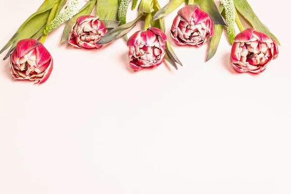 ピンクと赤のトーンで珍しいチューリップ 新鮮な花 休日のギフトの概念 パステルローズの背景 テキストのための場所 — ストック写真
