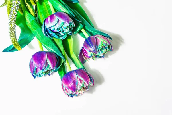 Ramo Tulipanes Multicolores Inusuales Aislados Sobre Fondo Blanco Luz Dura — Foto de Stock