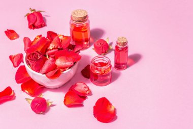 Pembe arka planda gerekli yağ ve gül yaprakları şişeleri. Modaya uygun sert ışık, koyu gölge, metin için yer