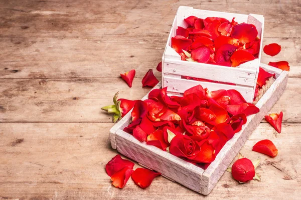 Świeże Czerwone Płatki Róż Drewnianych Skrzyniach Pachnące Kwiaty Modne Twarde — Zdjęcie stockowe
