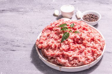 Seramik bir büfede kıyma. Çiğ domuz eti, taze bitki yaprakları, baharatlar, deniz tuzu ve sarımsak. Modern sert ışık, karanlık gölge. Gri taş beton zemin, kopyalama alanı