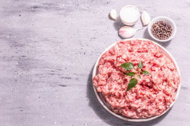 Seramik bir büfede kıyma. Çiğ domuz eti, taze bitki yaprakları, baharatlar, deniz tuzu ve sarımsak. Modern sert ışık, karanlık gölge. Gri taş arkaplan, üst manzara
