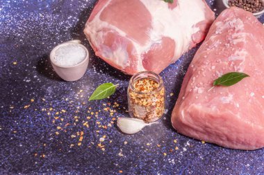 Çiğ domuz eti, farklı kesim. Taze hayvan proteini, baharatlar, sebzeler. Modaya uygun sert ışık, karanlık gölge. Kozmik taş arkaplan, üst görünüm