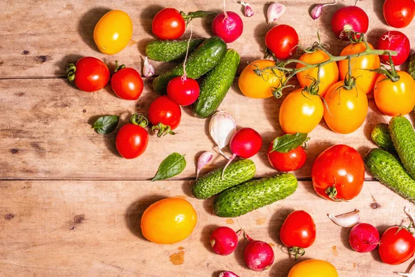 Comida Cosecha Concepto Verano Surtido Tomates Rojos Amarillos Pepinos Rábano — Foto de Stock