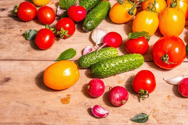 Comida Cosecha Concepto Verano Surtido Tomates Rojos Amarillos Pepinos Rábano — Foto de Stock