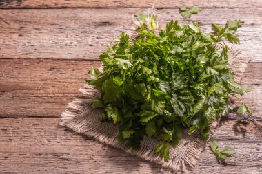 Pişirme konsepti olarak taze maydanoz. Yeşil otlar, eski ahşap masa. Modern bir sert ışık, karanlık gölge, boşluğu kopyala
