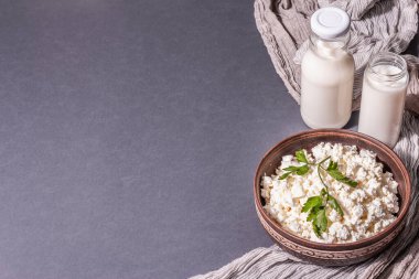 Seramik kasede içinde süt olan süzme peynir. Derin bir tabakta ev yapımı süt ürünü. Koyu gri arkaplan, metin için yer