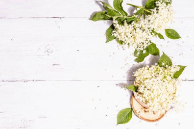 Taze mürver çiçekleri. Sağlıklı gıda konsepti için. Modaya uygun sert ışık, karanlık gölge. Eski beyaz tahta arka plan, üst görünüm