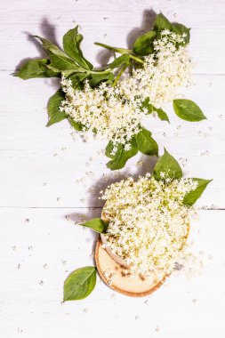 Taze mürver çiçekleri. Sağlıklı gıda konsepti için. Modaya uygun sert ışık, karanlık gölge. Eski beyaz tahta arka plan, üst görünüm