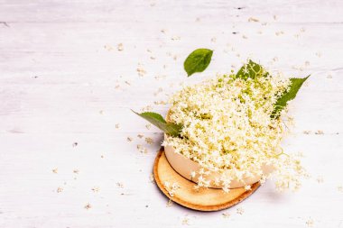 Taze mürver çiçekleri. Sağlıklı gıda konsepti için. Eski beyaz tahta tahta arka plan, boşluğu kopyala