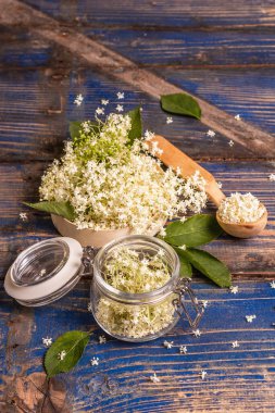 Taze mürver çiçekleri. Sağlıklı gıda konsepti için. Mavi vintage pano arkaplanı, kopyala