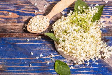 Taze mürver çiçekleri. Sağlıklı gıda konsepti için. Modern sert ışık, karanlık gölge. Mavi vintage tahta arka plan, üst görünüm