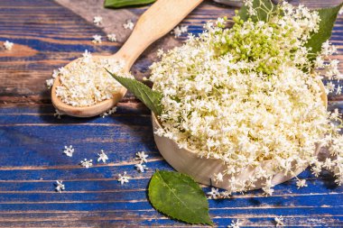 Taze mürver çiçekleri. Sağlıklı gıda konsepti için. Modern sert ışık, karanlık gölge. Mavi vintage pano arka planı, kapat