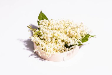 Beyaz arka planda taze mürver çiçekleri. Sağlıklı gıda konsepti için. Modern sert ışık, karanlık gölge