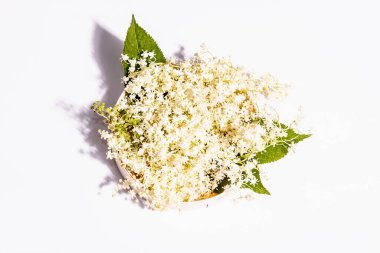 Beyaz arka planda taze mürver çiçekleri. Sağlıklı gıda konsepti için. Modern sert ışık, karanlık gölge