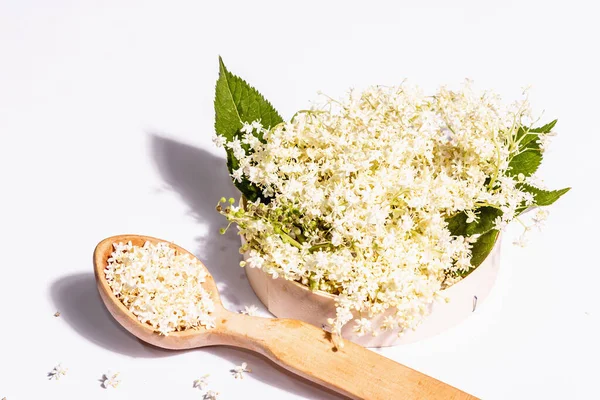 Färska Fläderbär Blommor Isolerade Vit Bakgrund Ingrediens För Hälsosam Mat — Stockfoto