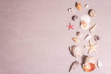 Yaz tatili kavramı. Kumlu taş arka planda çeşitli deniz kabukları. Modaya uygun sert bir ışık, karanlık bir gölge, düz uzanmış