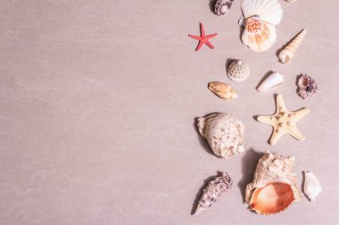 Yaz tatili kavramı. Kumlu taş arka planda çeşitli deniz kabukları. Modaya uygun sert bir ışık, karanlık bir gölge, düz uzanmış