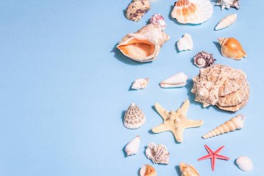 Yaz tatili kavramı. Pastel mavi arka planda çeşitli deniz kabukları. Modaya uygun bir sert ışık, koyu gölge, düz uzanma, metin için yer