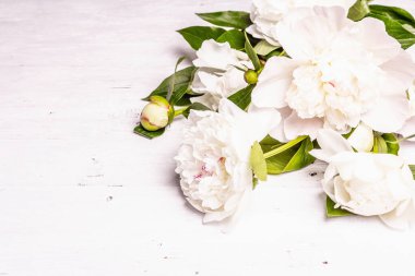 Bir buket taze beyaz şakayık. Yaz narin çiçekleri, romantik hediye konsepti. Çiçek aranjmanı, modaya uygun sert ışık, karanlık gölgeler. Beyaz eski tahtalar arka plan