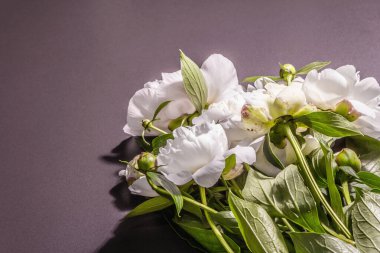 Bir buket taze beyaz şakayık. Yaz narin çiçekleri, romantik hediye konsepti. Çiçek aranjmanı, modaya uygun sert ışık, karanlık gölgeler. Siyah taş beton arka plan