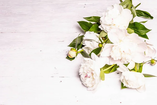 Μπουκέτο Φρέσκες Λευκές Παιώνιες Καλοκαίρι Ντελικάτα Λουλούδια Ρομαντικό Δώρο Floral — Φωτογραφία Αρχείου
