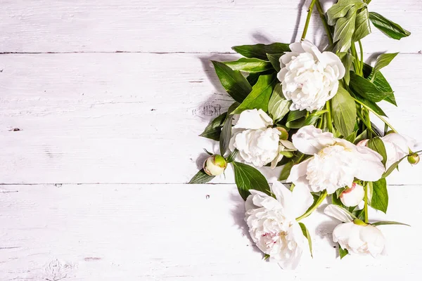 Bouquet Friske Hvide Pæoner Sommer Sarte Blomster Romantisk Gavekoncept Blomsterarrangement - Stock-foto