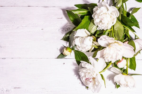 Ramo Peonías Blancas Frescas Flores Delicadas Verano Concepto Regalo Romántico — Foto de Stock