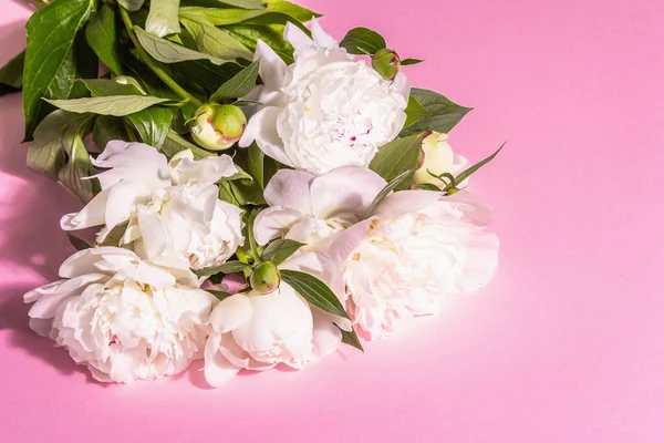Букет Свежих Белых Пионов Летние Нежные Цветы Романтическая Концепция Подарка — стоковое фото