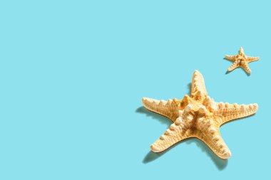 Mavi pastel arka planda deniz yıldızı deseni. Tatil konsepti, deniz kartı. Modaya uygun sert bir ışık, karanlık gölge, düz uzanma, model, şablon