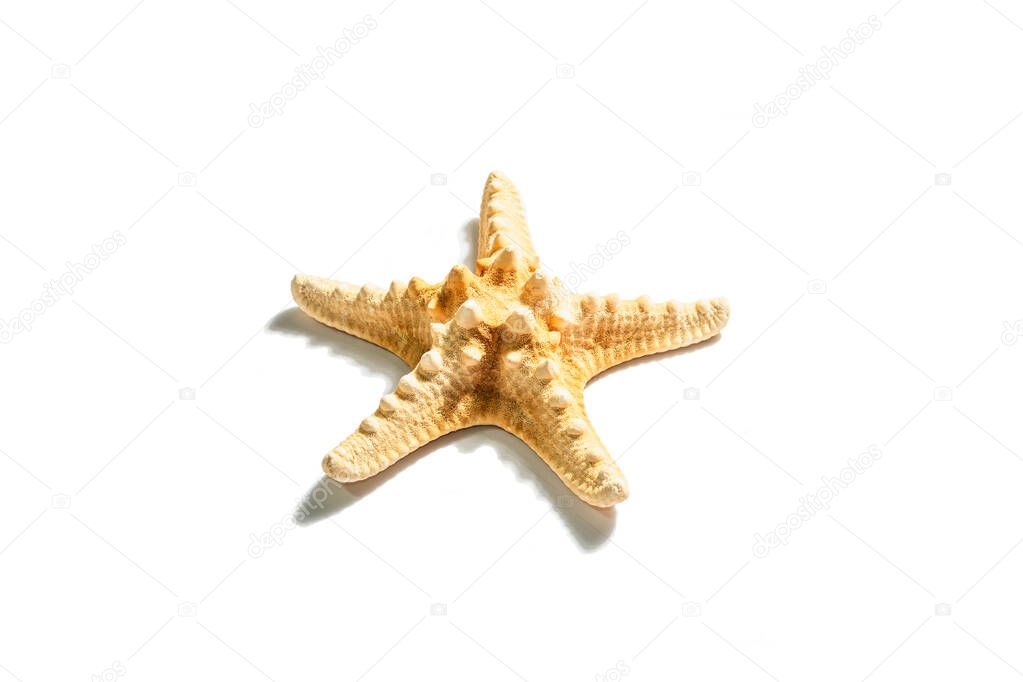 Single starfish isolated on white background. A modern hard light, dark shadow, flat lay, mockup, template