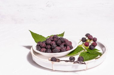 Beyaz kasede siyah ahududu. Beyaz macun arka planında olgun organik meyveler. Modaya uygun bir sert ışık, karanlık gölge, boşluğu kopyala