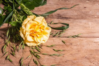 Gül dekoratif geçmişi. Taze sarı çiçek, sert ışık, koyu gölge. Eski tahta tahta arka plan, metin için yer