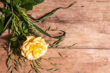 Gül dekoratif geçmişi. Taze sarı çiçek, sert ışık, koyu gölge. Eski tahta tahta arka plan, metin için yer