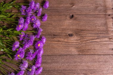 Ahşap arka planda mor papatyalar. Çiçek yaratıcı konsept, düz yatak, metin için yer