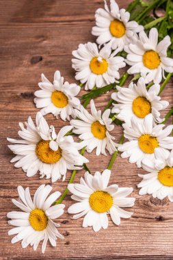 Ahşap arka planda papatyalar. Taze çiçek buketi, çiçek konsepti, metin için yer