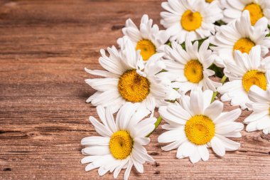 Ahşap arka planda papatyalar. Taze çiçek buketi, çiçek konsepti, metin için yer