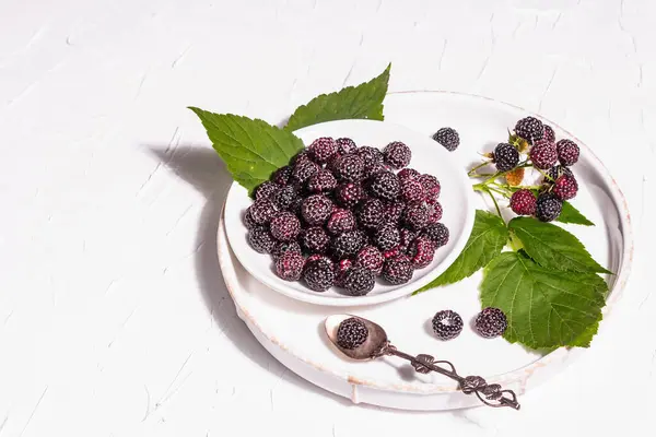 Black Raspberry White Bowl Ripe Organic Fruits White Putty Background — Stock Photo, Image